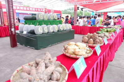 农产品丰富!冲蒌冬瓜美食节今日开幕了,约上亲人朋友走起吧!